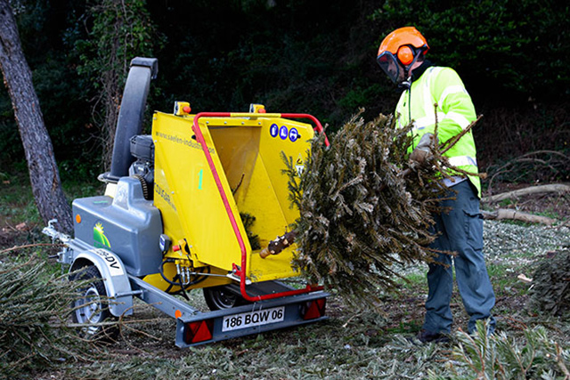 Broyage de sapins 