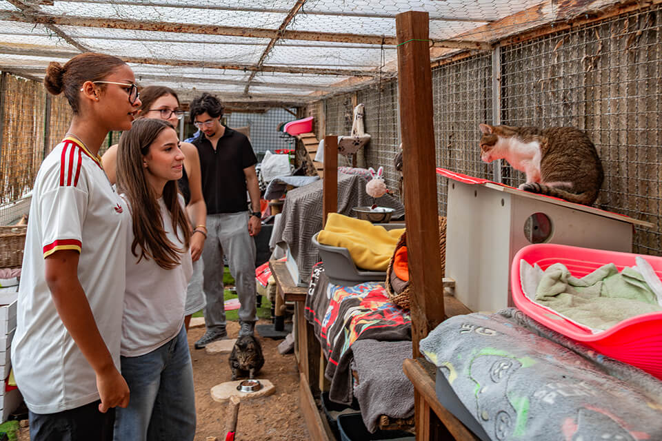 Le Conseil Municipal des Jeunes Cannois lors de la visite du refuge animalier © Mairie de Cannes