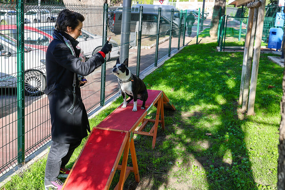 David Lisnard inaugure le premier parc canin, rue du Lys. 